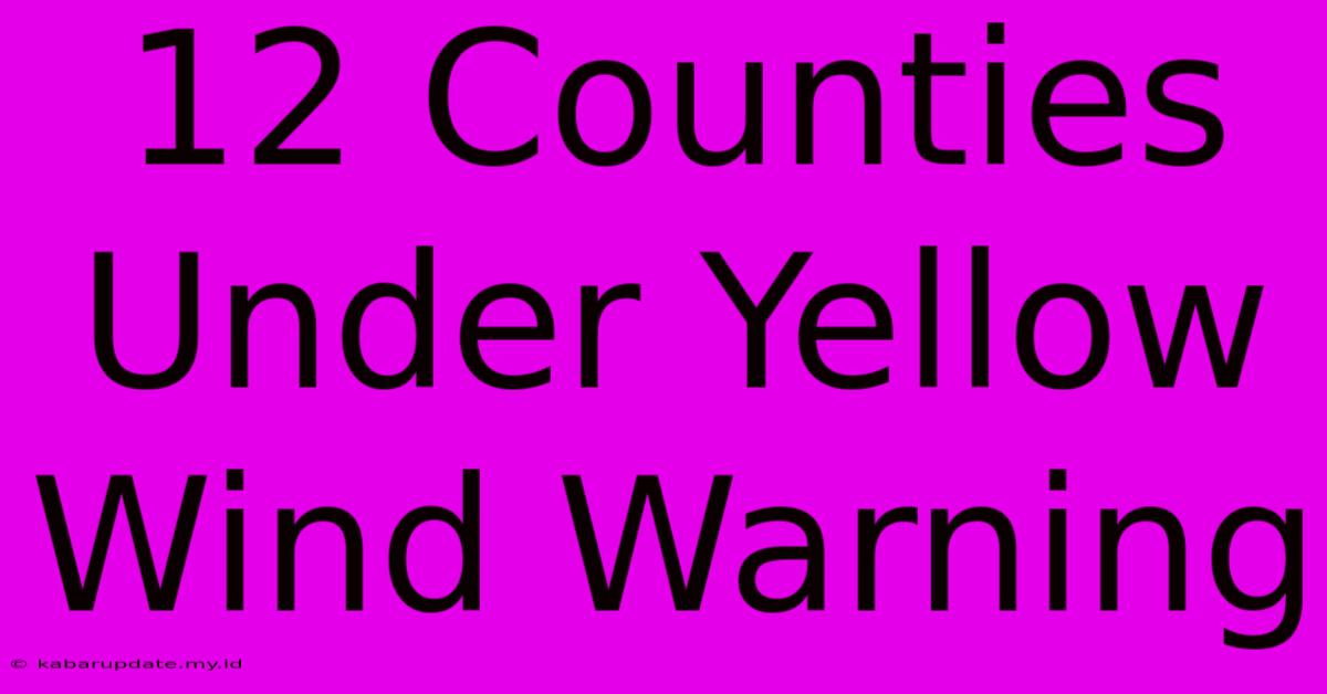 12 Counties Under Yellow Wind Warning