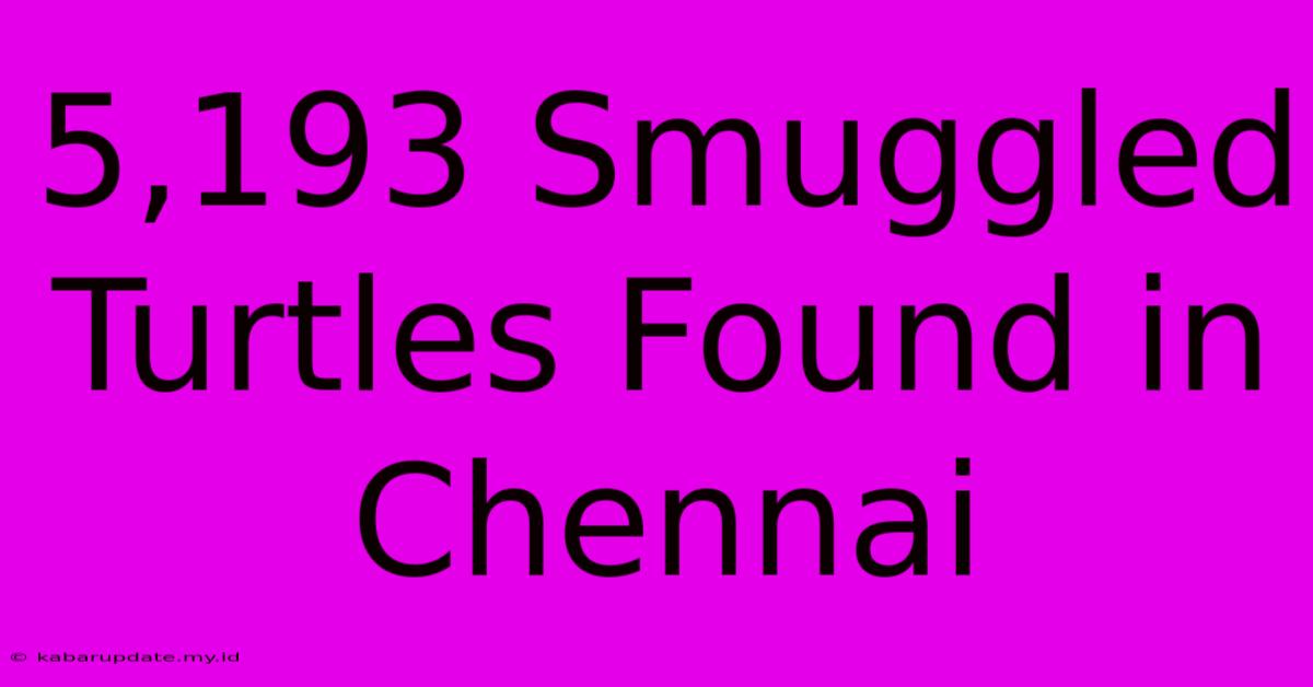 5,193 Smuggled Turtles Found In Chennai