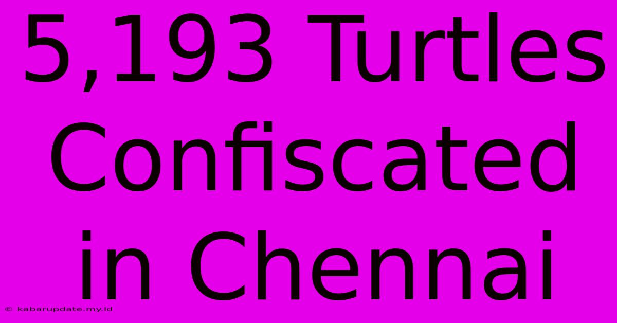 5,193 Turtles Confiscated In Chennai