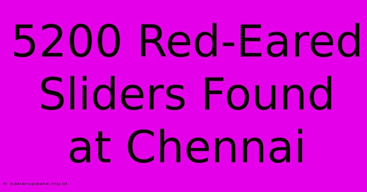 5200 Red-Eared Sliders Found At Chennai