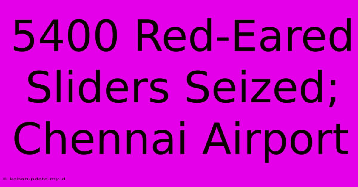 5400 Red-Eared Sliders Seized; Chennai Airport