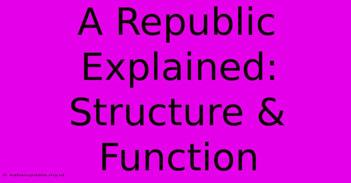 A Republic Explained: Structure & Function