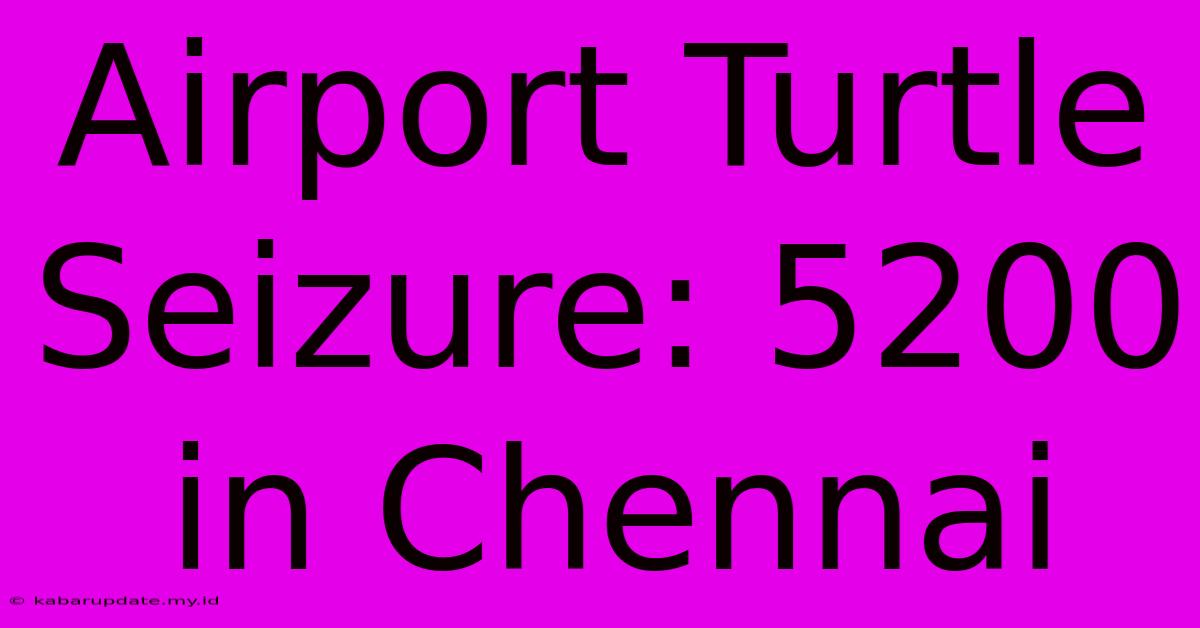 Airport Turtle Seizure: 5200 In Chennai