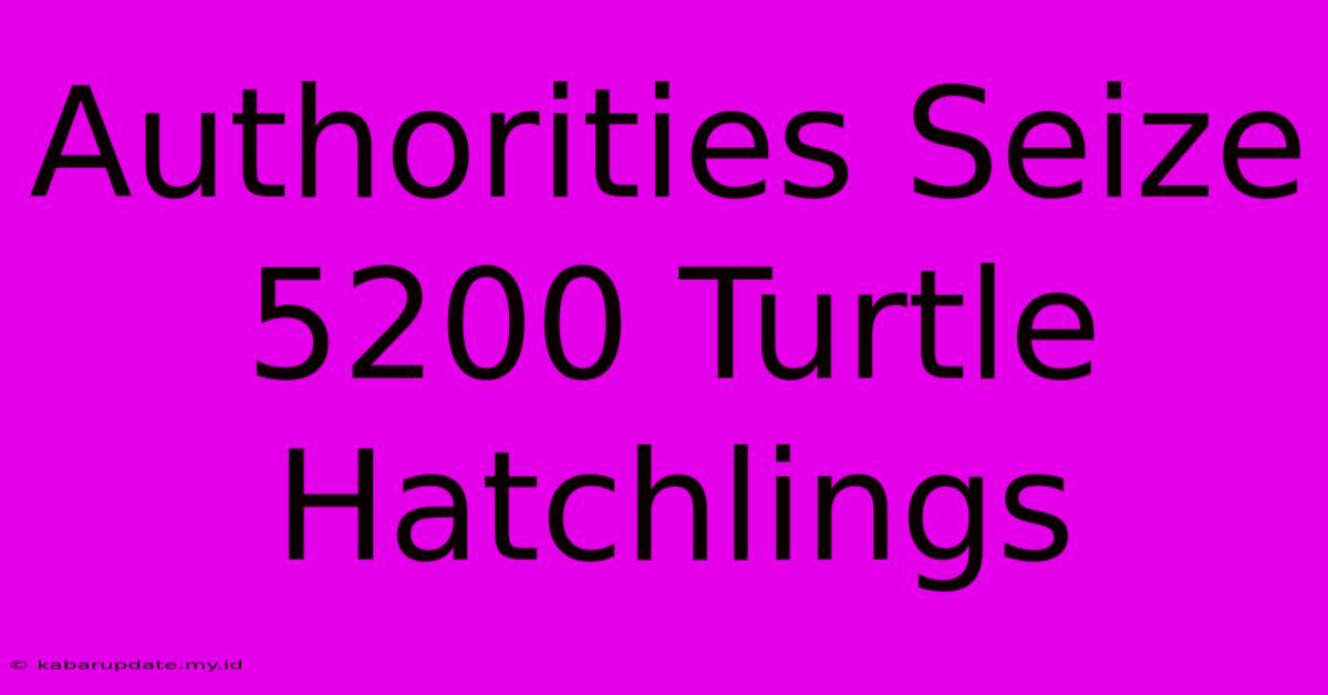 Authorities Seize 5200 Turtle Hatchlings