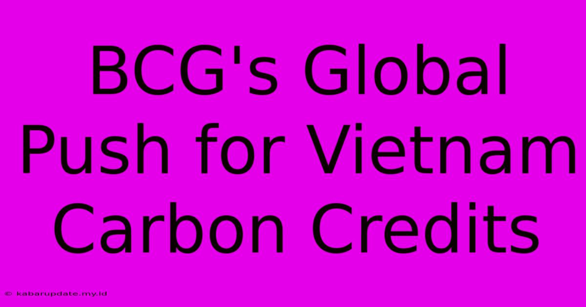 BCG's Global Push For Vietnam Carbon Credits