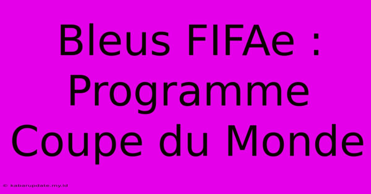 Bleus FIFAe : Programme Coupe Du Monde