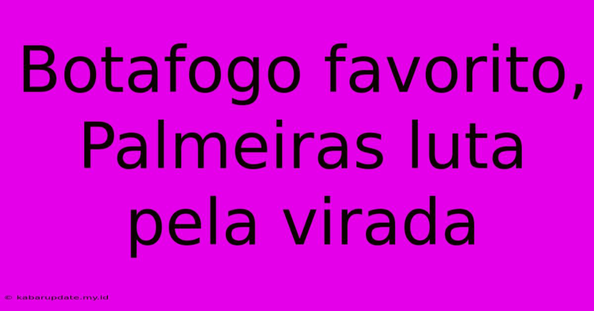 Botafogo Favorito, Palmeiras Luta Pela Virada