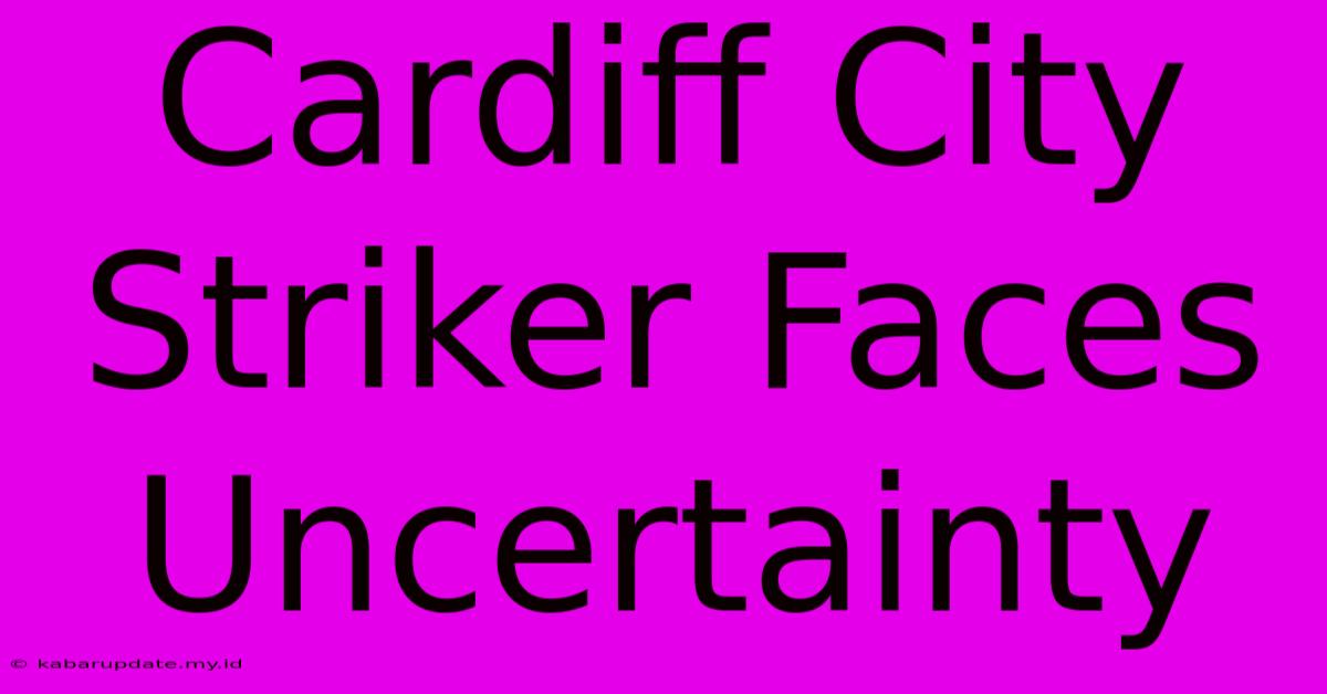 Cardiff City Striker Faces Uncertainty