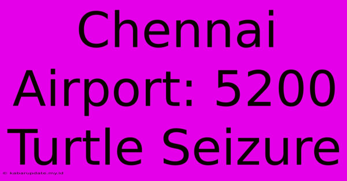 Chennai Airport: 5200 Turtle Seizure