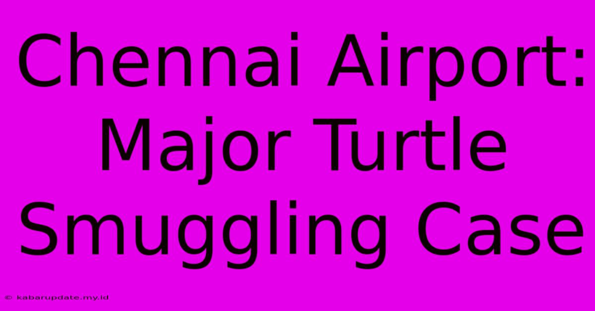 Chennai Airport:  Major Turtle Smuggling Case