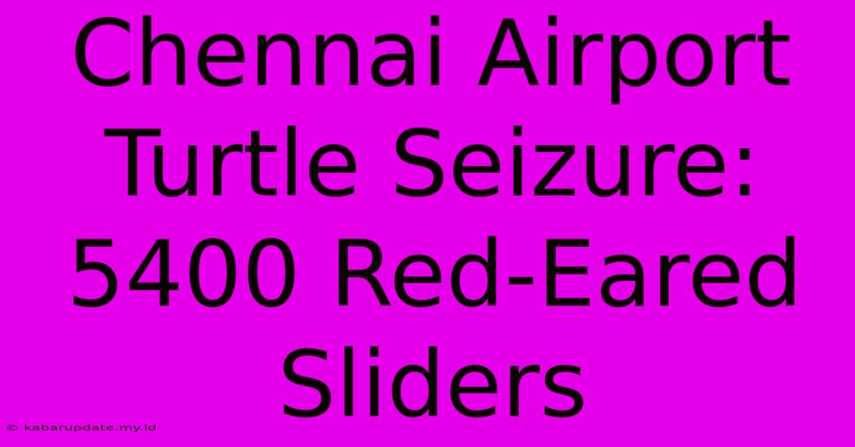 Chennai Airport Turtle Seizure: 5400 Red-Eared Sliders