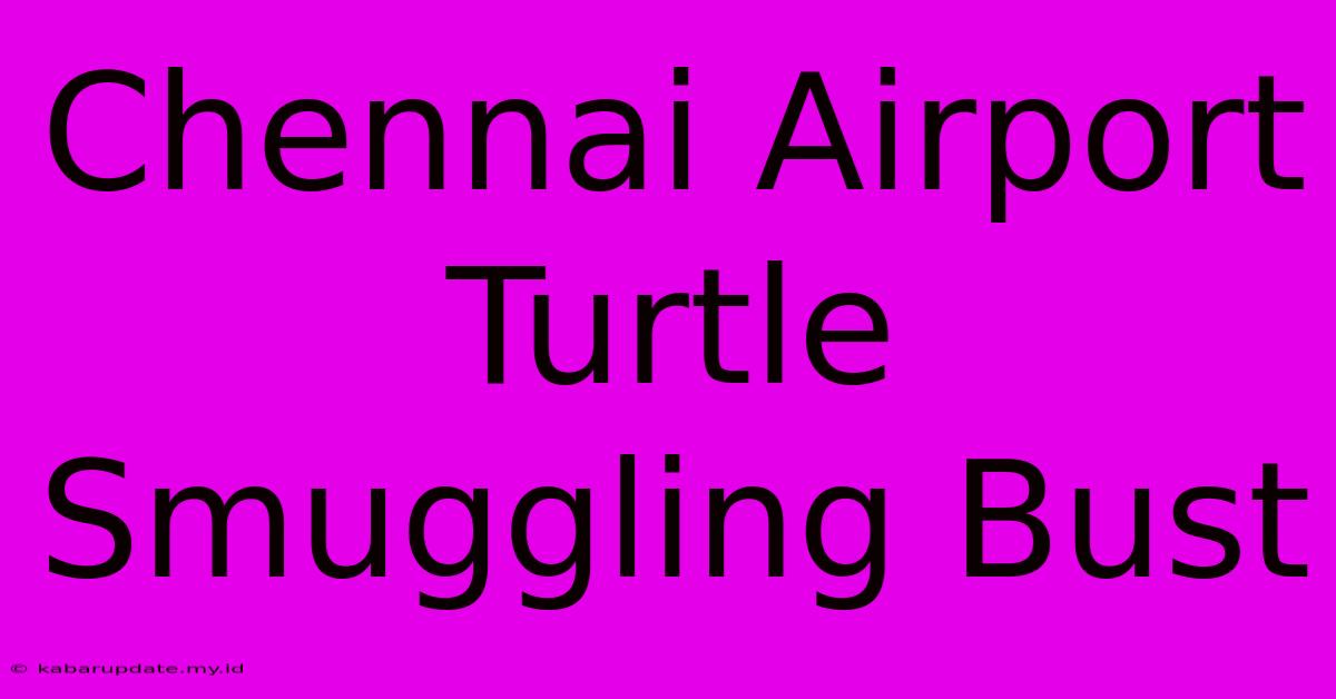 Chennai Airport Turtle Smuggling Bust