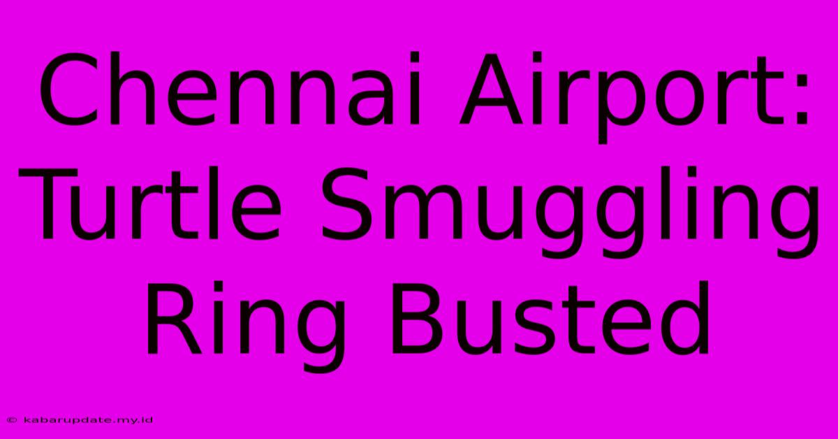 Chennai Airport:  Turtle Smuggling Ring Busted