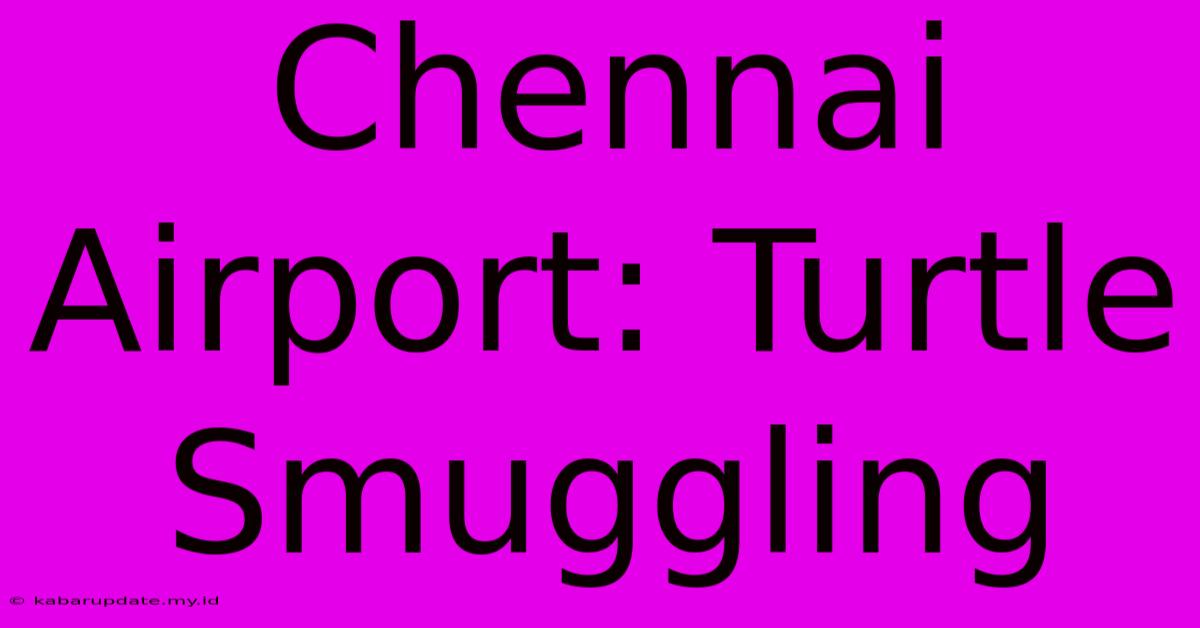 Chennai Airport: Turtle Smuggling