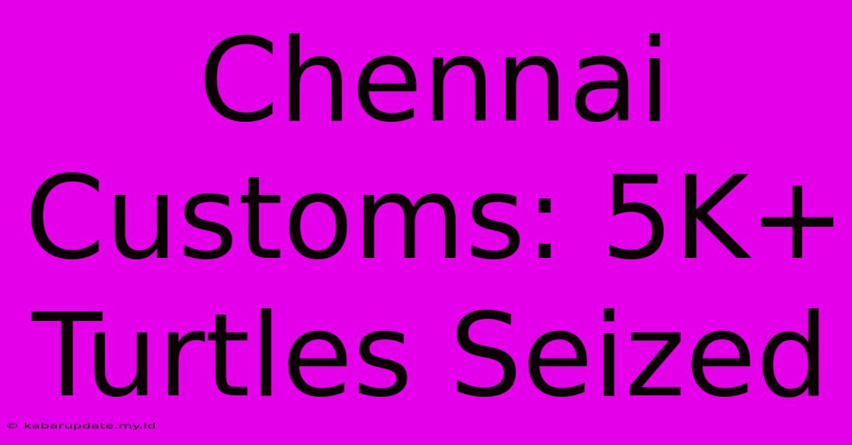 Chennai Customs: 5K+ Turtles Seized