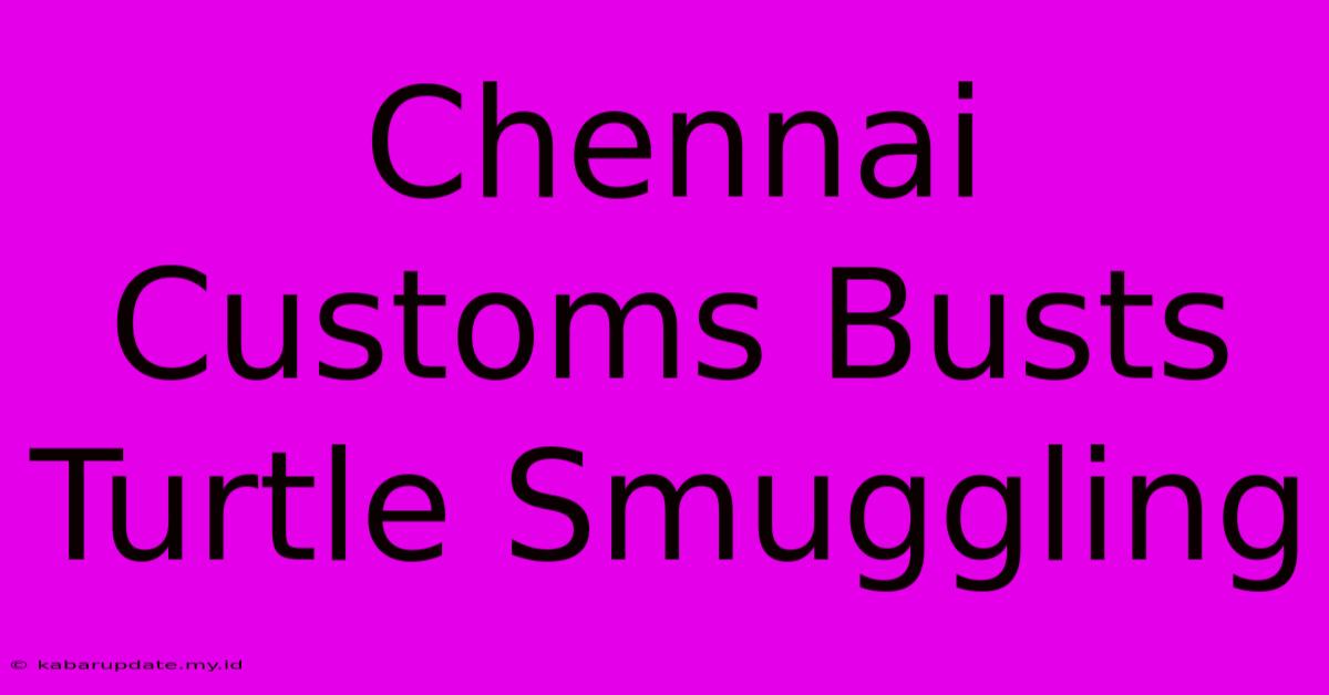 Chennai Customs Busts Turtle Smuggling