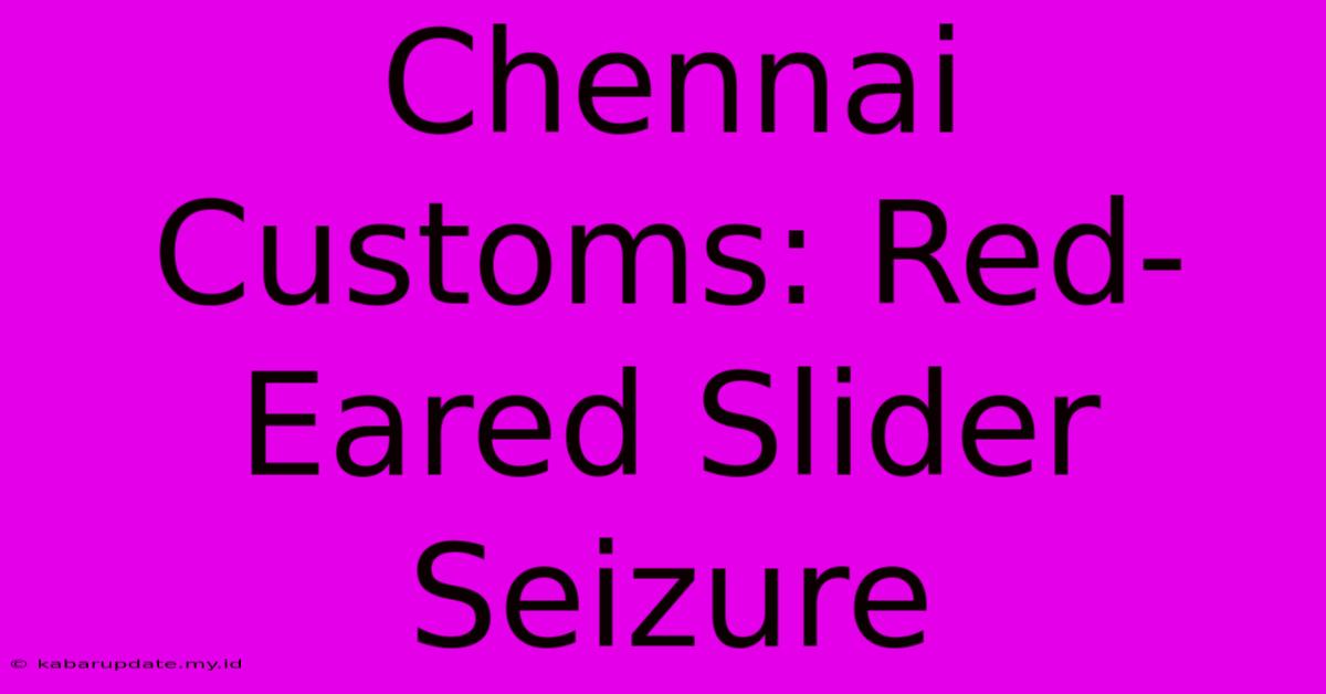 Chennai Customs: Red-Eared Slider Seizure