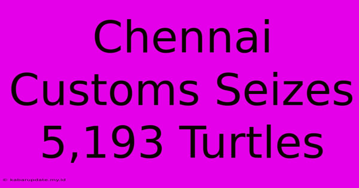 Chennai Customs Seizes 5,193 Turtles