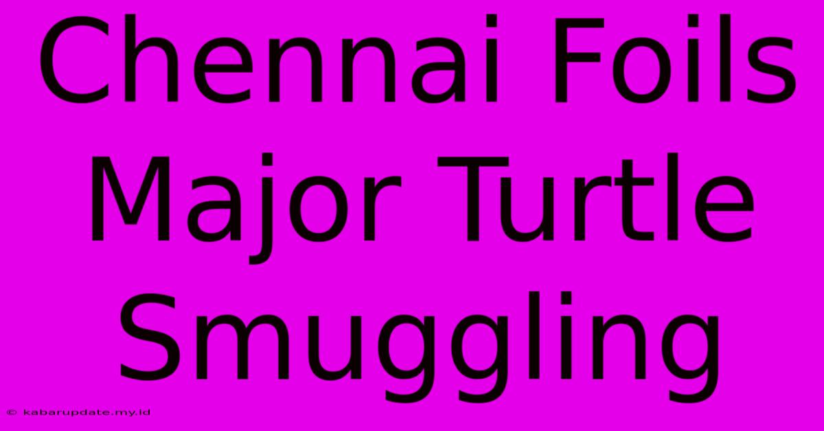 Chennai Foils Major Turtle Smuggling