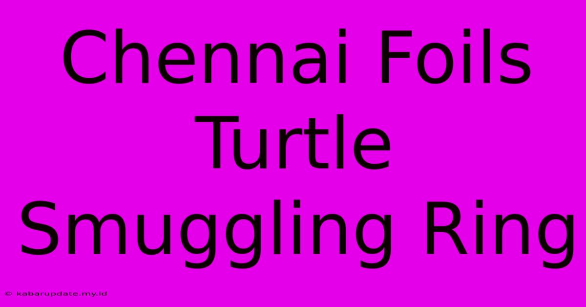 Chennai Foils Turtle Smuggling Ring