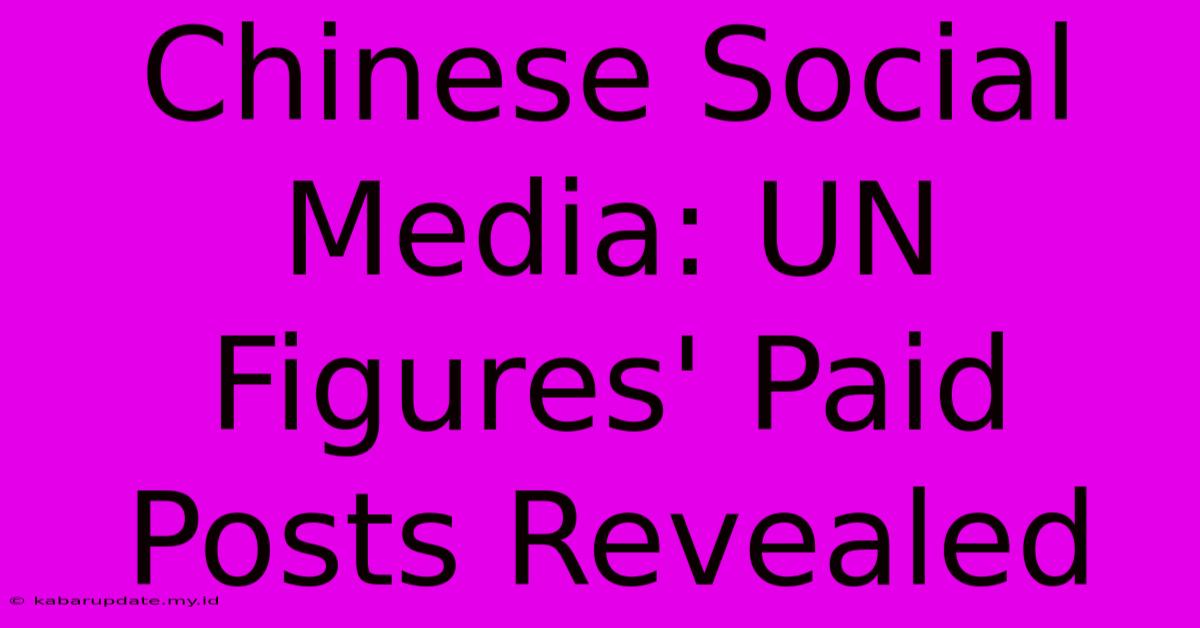 Chinese Social Media: UN Figures' Paid Posts Revealed