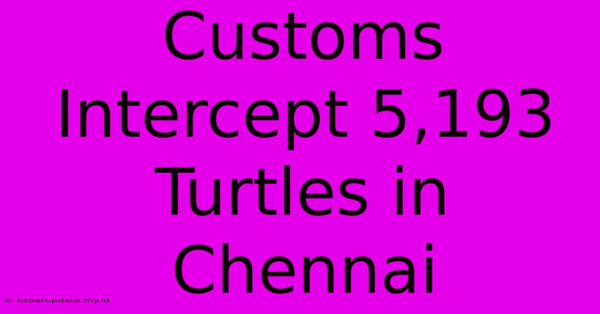 Customs Intercept 5,193 Turtles In Chennai