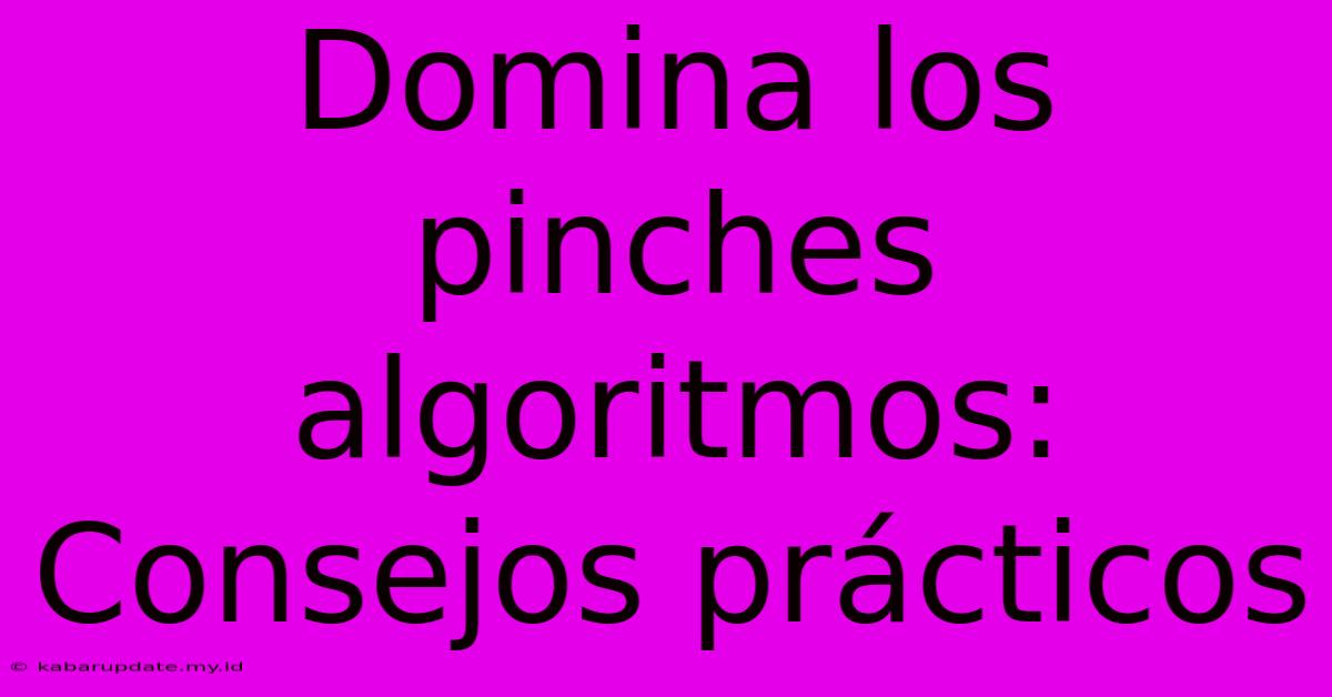 Domina Los Pinches Algoritmos: Consejos Prácticos