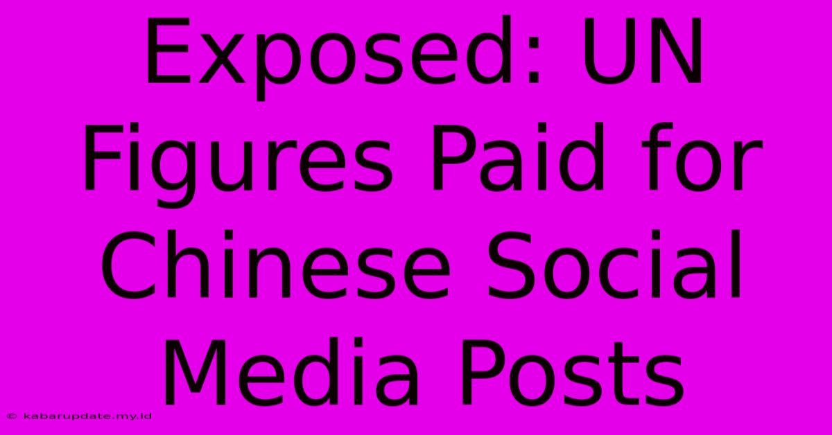 Exposed: UN Figures Paid For Chinese Social Media Posts