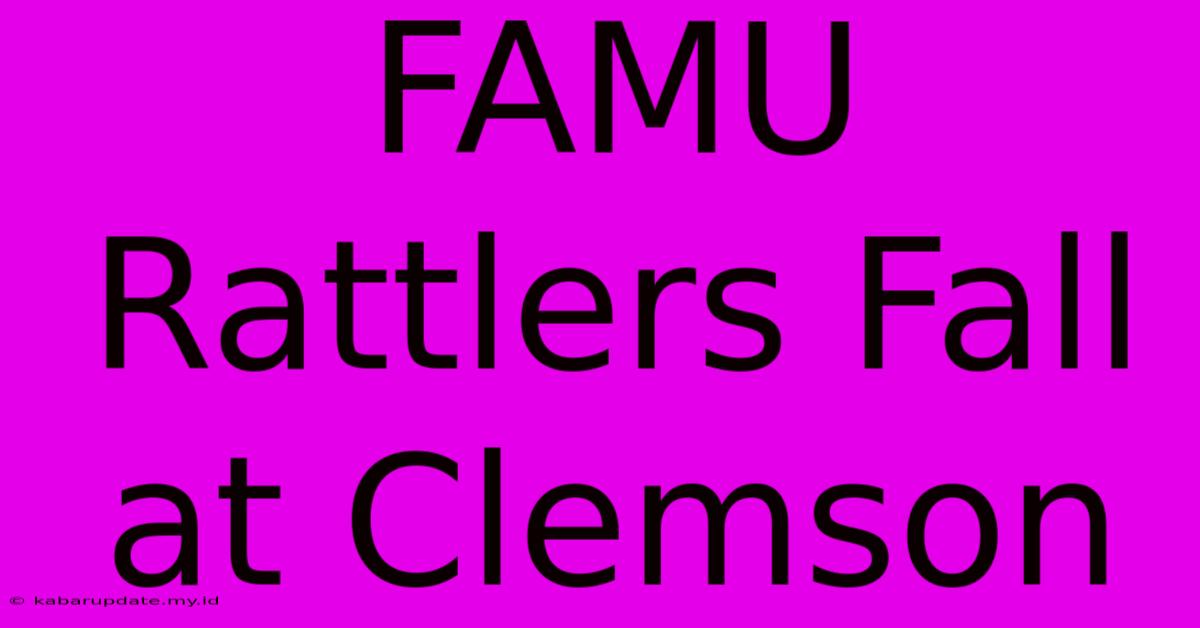 FAMU Rattlers Fall At Clemson