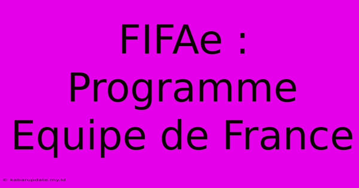 FIFAe : Programme Equipe De France