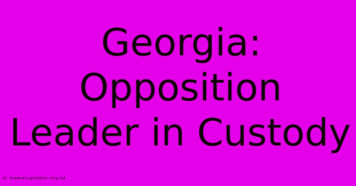 Georgia: Opposition Leader In Custody