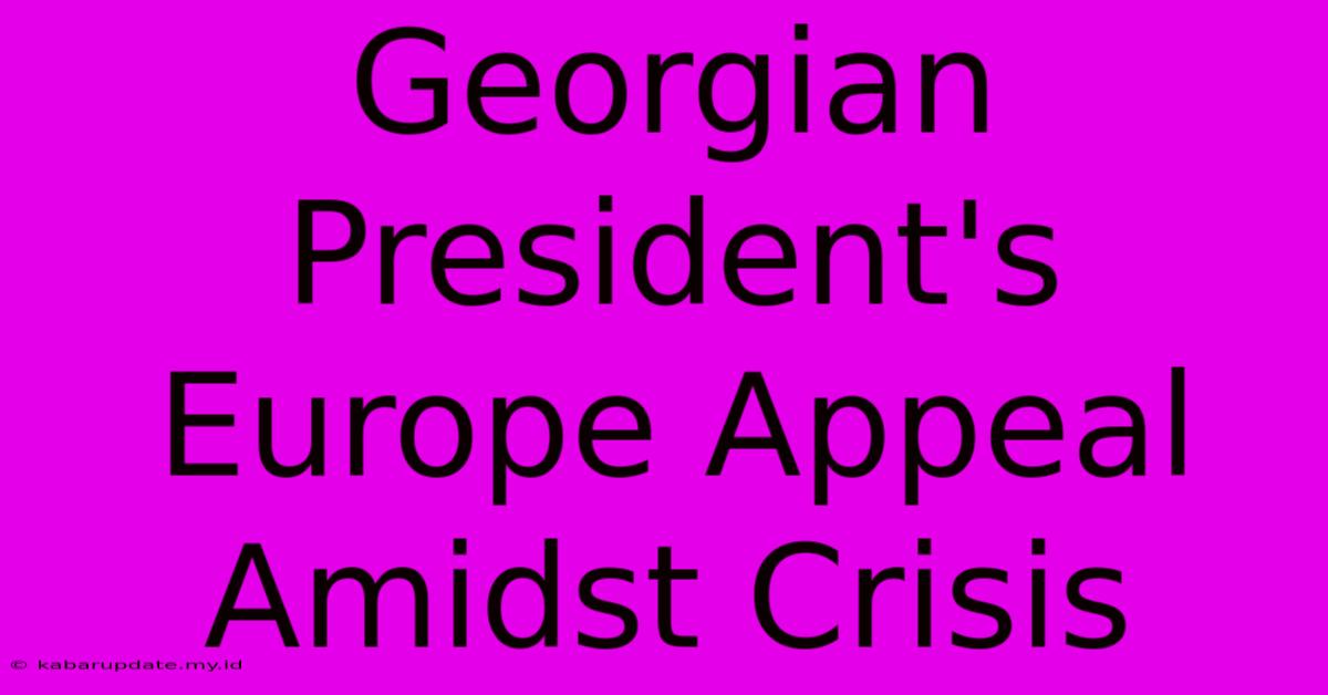 Georgian President's Europe Appeal Amidst Crisis