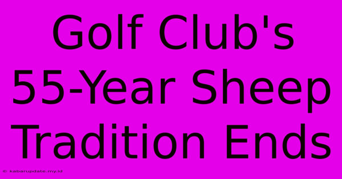 Golf Club's 55-Year Sheep Tradition Ends