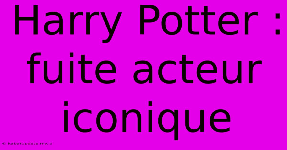 Harry Potter : Fuite Acteur Iconique