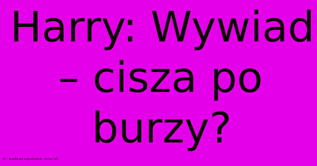 Harry: Wywiad – Cisza Po Burzy?