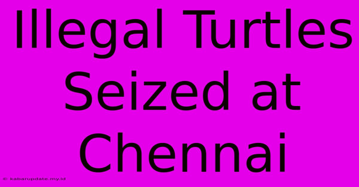 Illegal Turtles Seized At Chennai