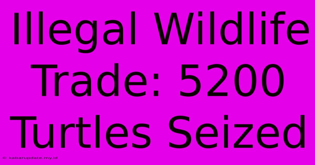 Illegal Wildlife Trade: 5200 Turtles Seized