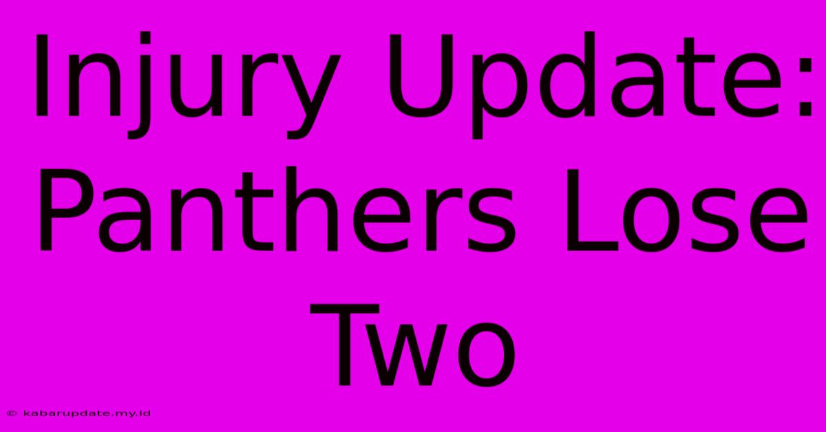 Injury Update: Panthers Lose Two