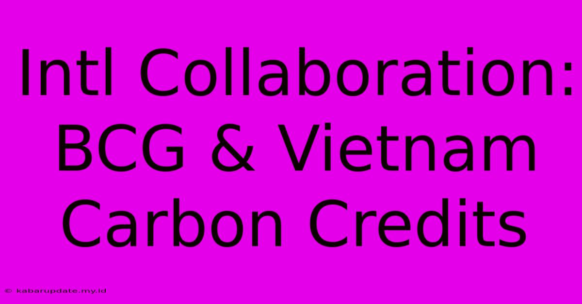 Intl Collaboration: BCG & Vietnam Carbon Credits