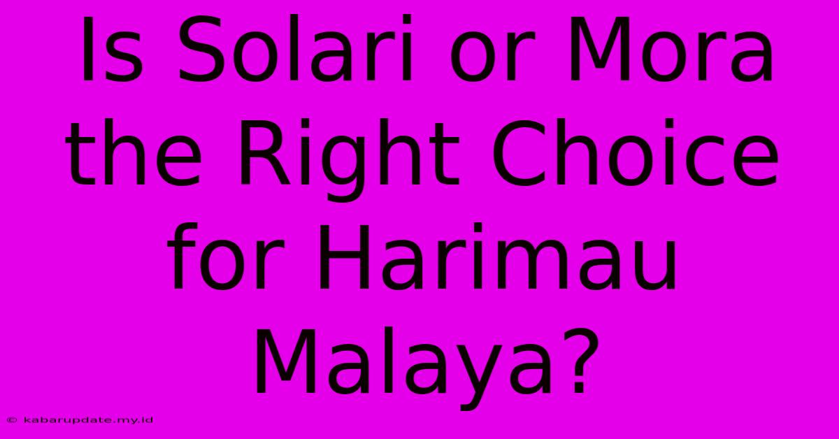 Is Solari Or Mora The Right Choice For Harimau Malaya?