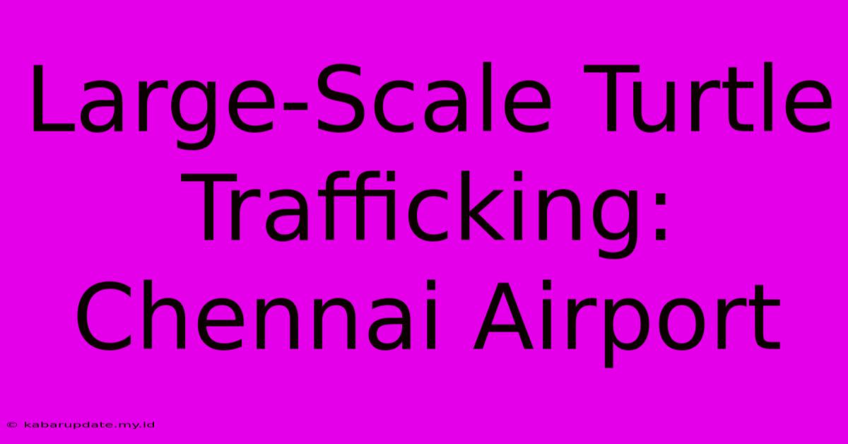 Large-Scale Turtle Trafficking: Chennai Airport