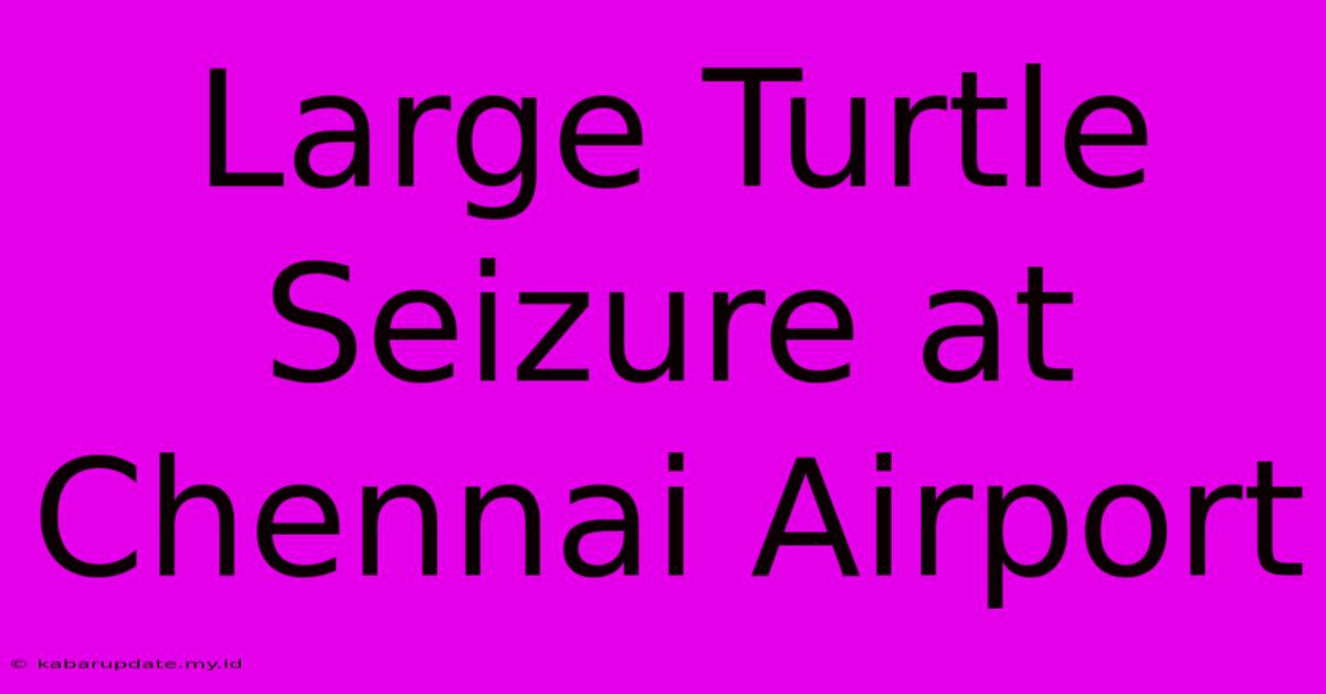 Large Turtle Seizure At Chennai Airport