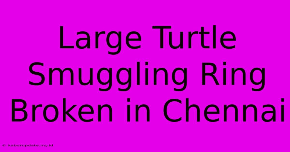 Large Turtle Smuggling Ring Broken In Chennai