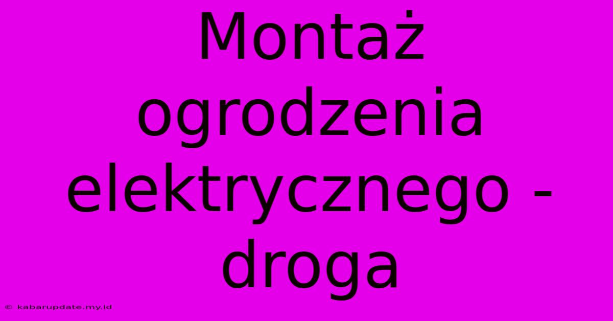 Montaż Ogrodzenia Elektrycznego - Droga