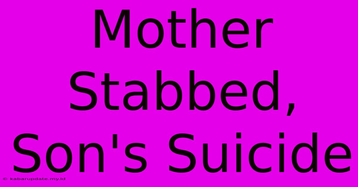 Mother Stabbed, Son's Suicide