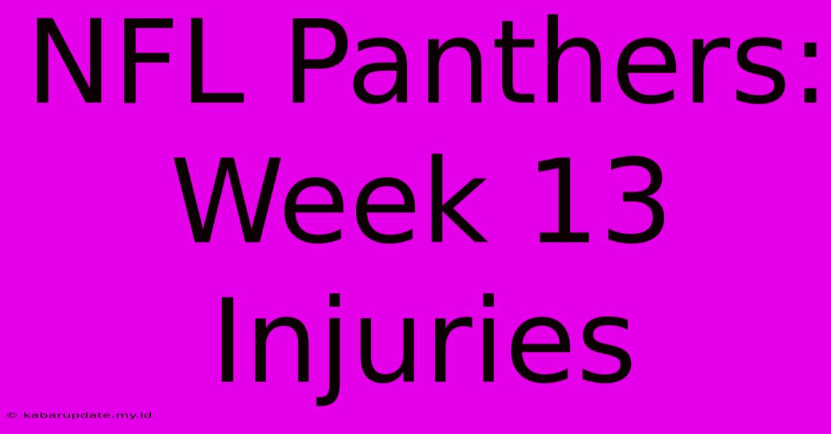 NFL Panthers: Week 13 Injuries