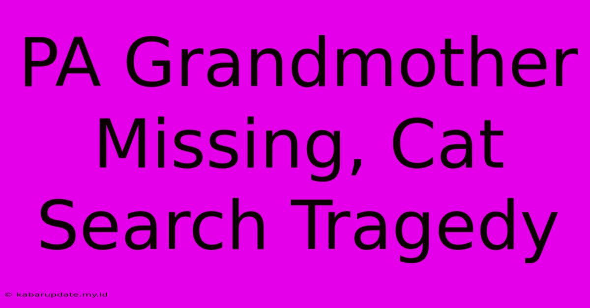 PA Grandmother Missing, Cat Search Tragedy