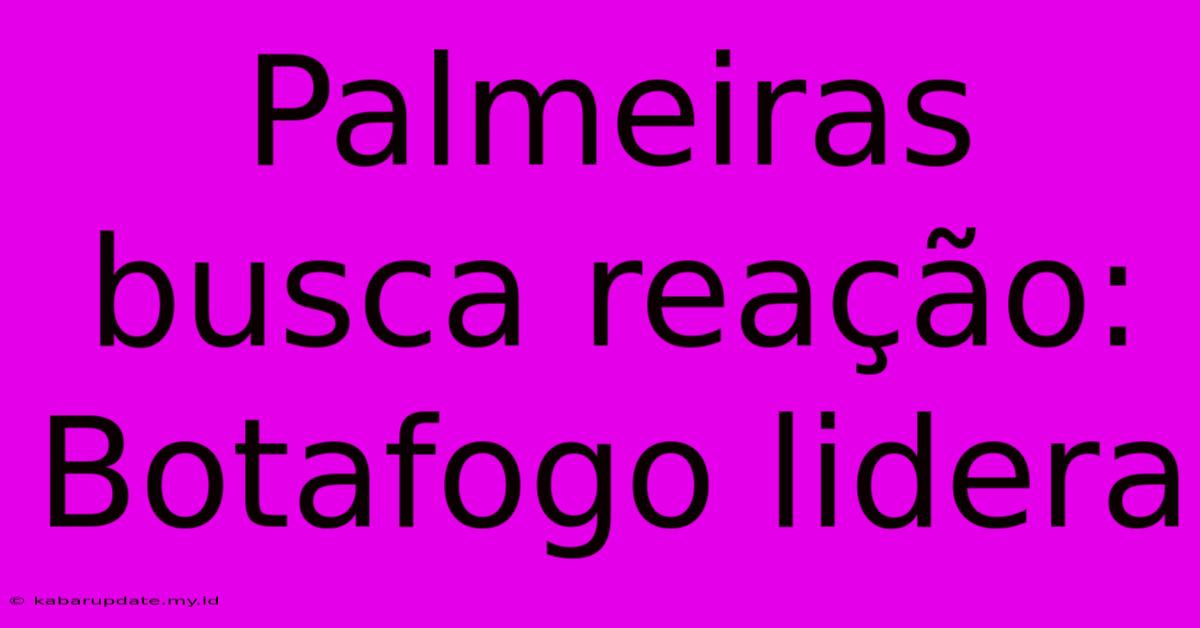 Palmeiras Busca Reação: Botafogo Lidera