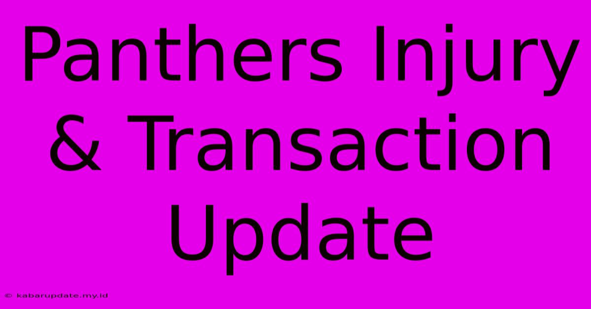 Panthers Injury & Transaction Update