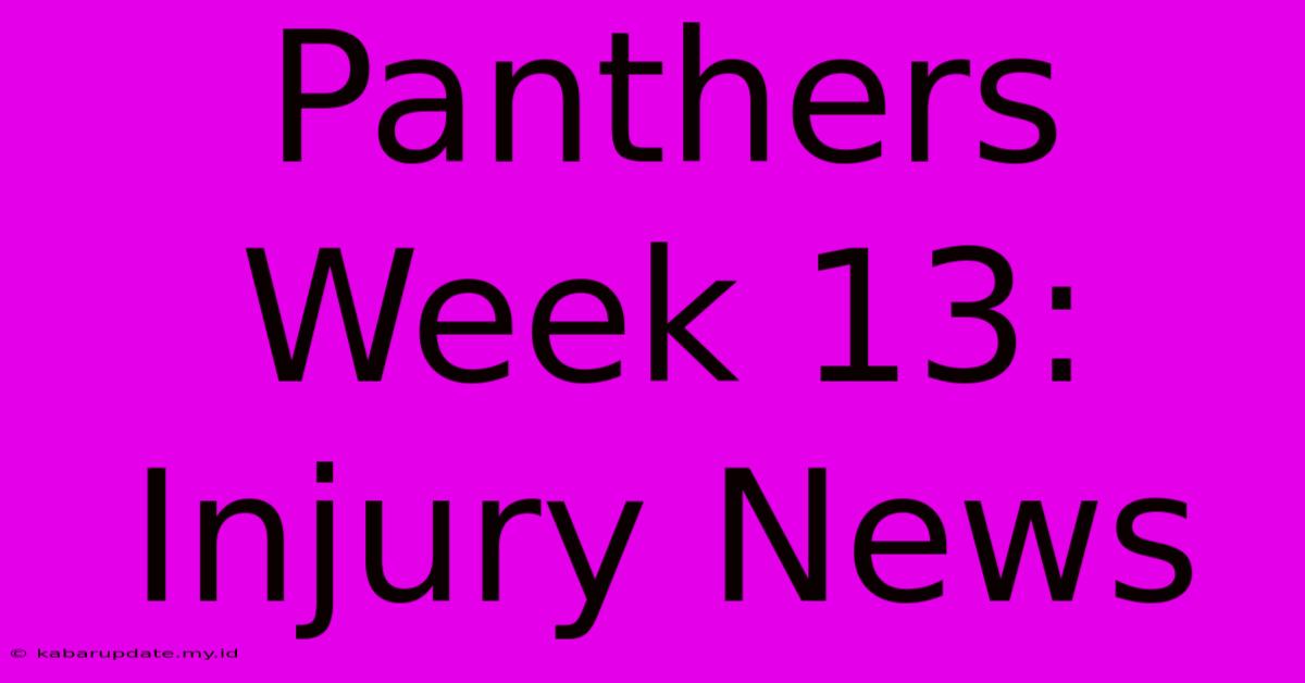 Panthers Week 13: Injury News